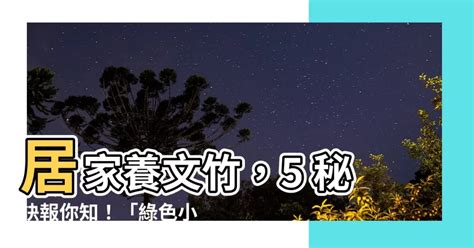 文竹 照顧|【文竹照顧】居家養文竹，5 秘訣報你知！「綠色小森林」隨手打。